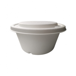 850ml container cane bagasse