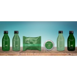 Amenities SEAFOREST COLLECTION