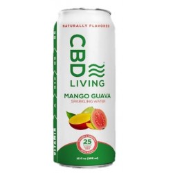 Mango Guava Fizzy Hemp Drink