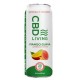 Mango Guava Fizzy Hemp Drink