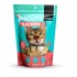 Biscuits Salmon Cats