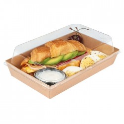 Sushi cardboard tray with PET lid #5