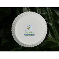 Plates # 6 bio-degradable made from paper (12 units)