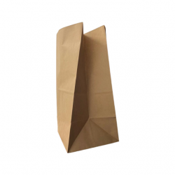 To Go Kraft Bags 