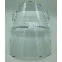 Face shield (5 units)